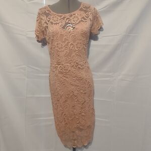 🍉 Ambiance Elegant Lace Dress in Peach Size XL